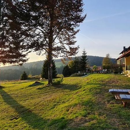 Dreisessel Motel Haidmühle Esterno foto